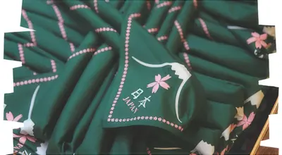 第26回世界スカウトジャンボリー(26WSJ)の参加申込および派遣員の選考